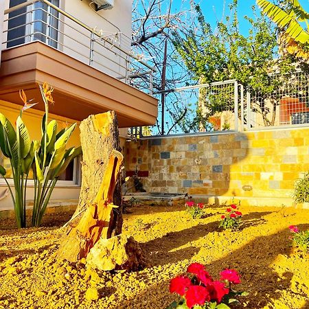 Glaros Beach Apartment Kato Daratso Ngoại thất bức ảnh